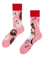 regular-socks-yorkshire-terrier-01/01395ff0de814a377dc387124d5793c08adf8d4b