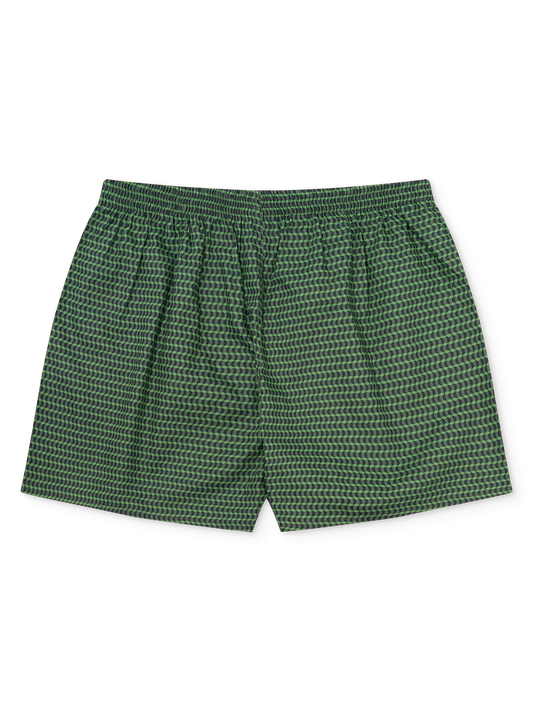 pastel-green-mens-pattern-boxer-shorts-05/05447cf357c536dff180aeaa3fe80fdb018a8420