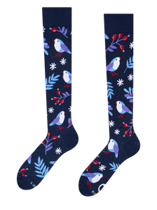 Mi-bas rigolos Oiseau d'hiver
