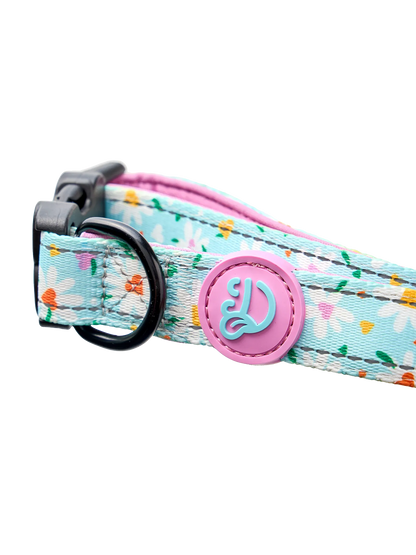 dog-collar-hearts-daisies-1d/1d7da464724b1b9c5ebd25a1e30008bc9f520e57