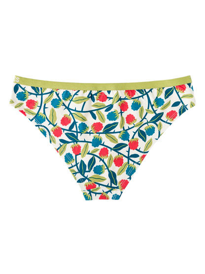 womens-briefs-raspberries-1-1d/1db08599093269dc9c379a6f1e7c141dd9c36098