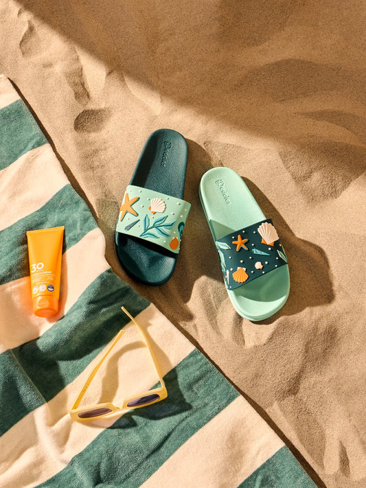 slides-seashells-1f/1f0749ba29a812ad5dec012c31eec1f13e98929d