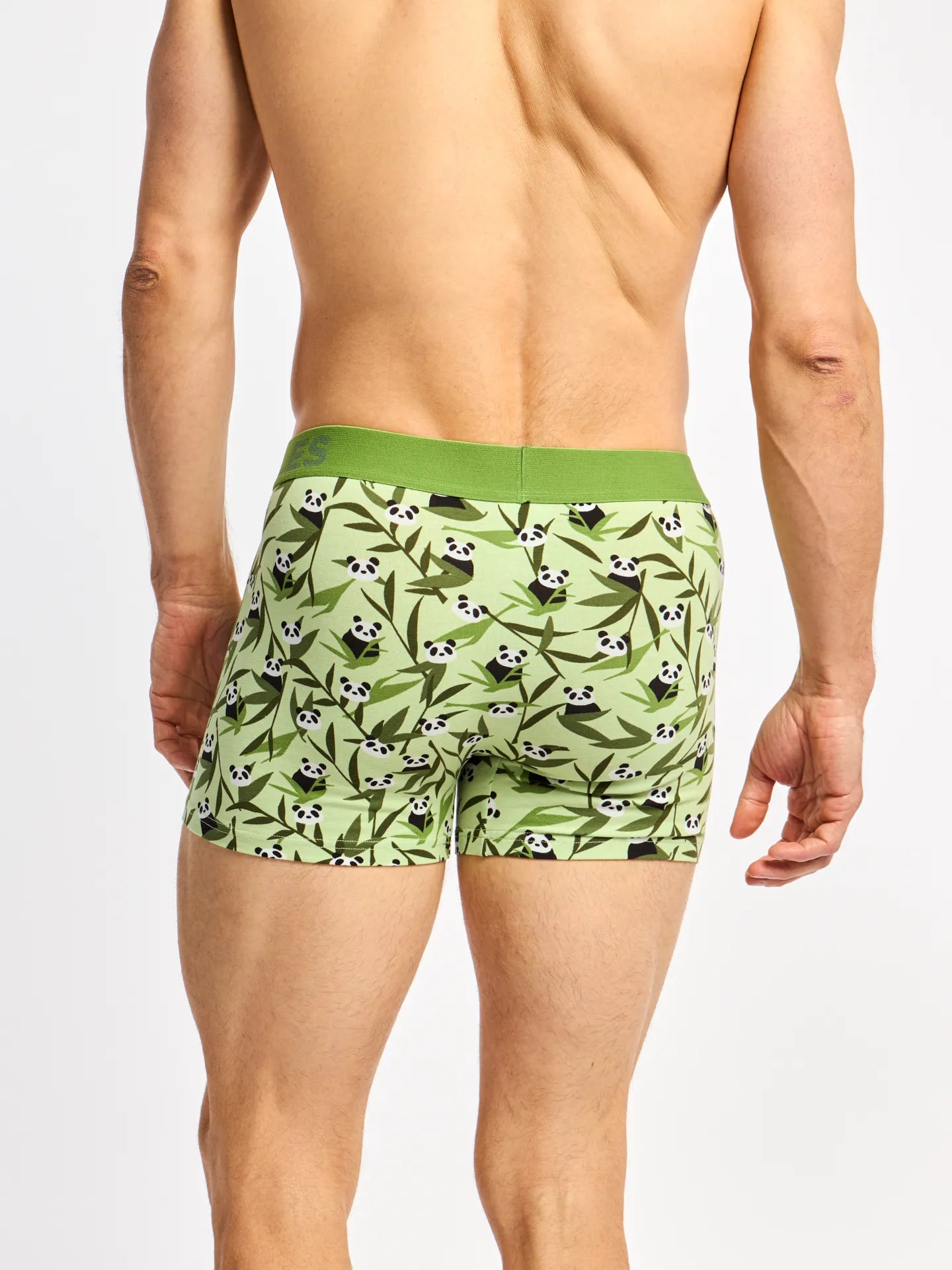 mens-trunks-pandas-bamboo-2b/2bbbf1b41f90d7edcf1a671cf1c406b8dc3a217a