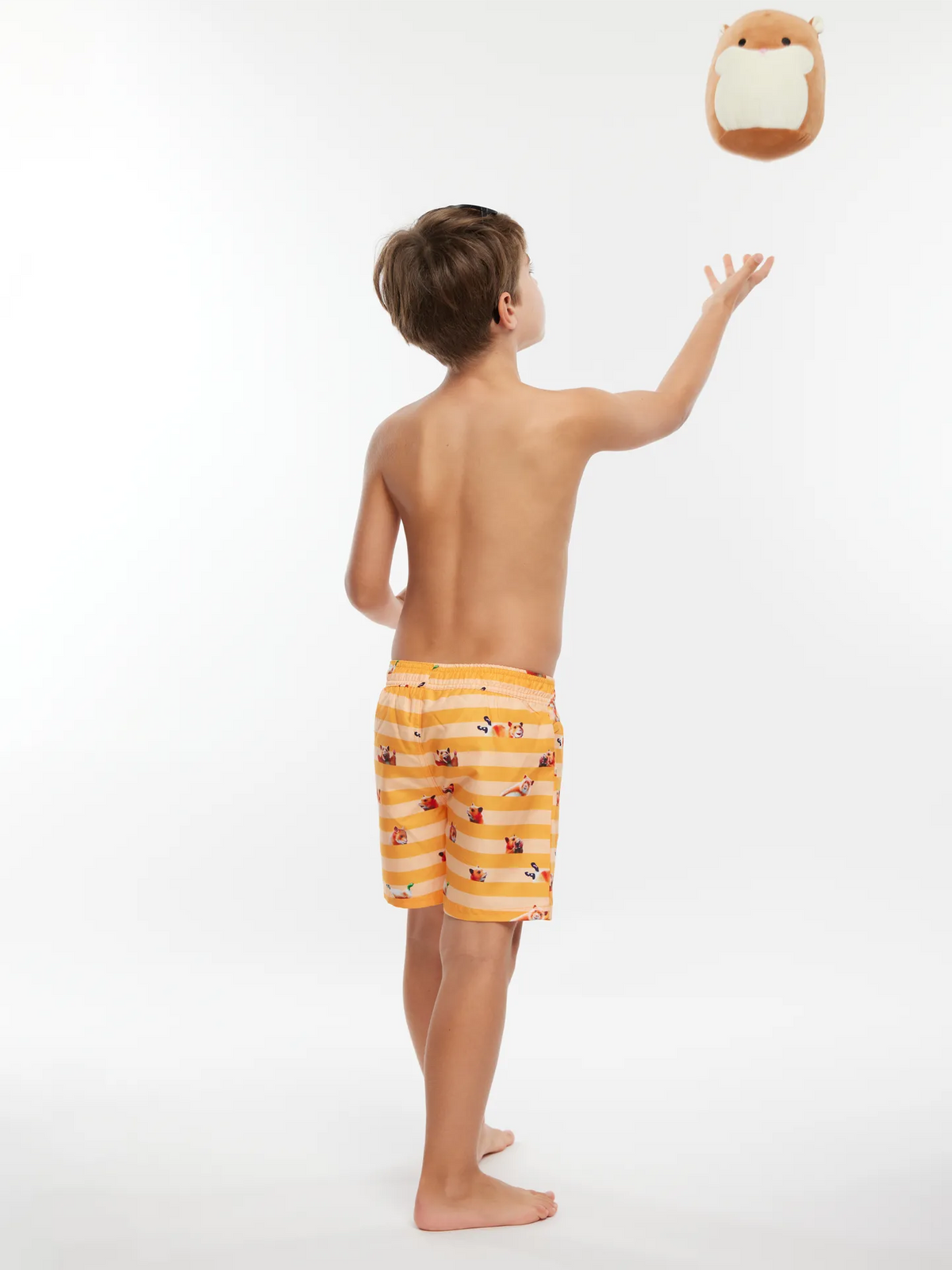 boys-swim-shorts-hamster-stripes-2f/2f4595bf57722360d39be3256a5b50109e3366f6