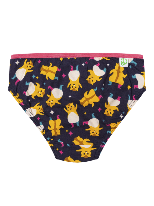 girls-briefs-party-hamsters-52/52ff127c45cc5973a4e666ef8a01134d20148891
