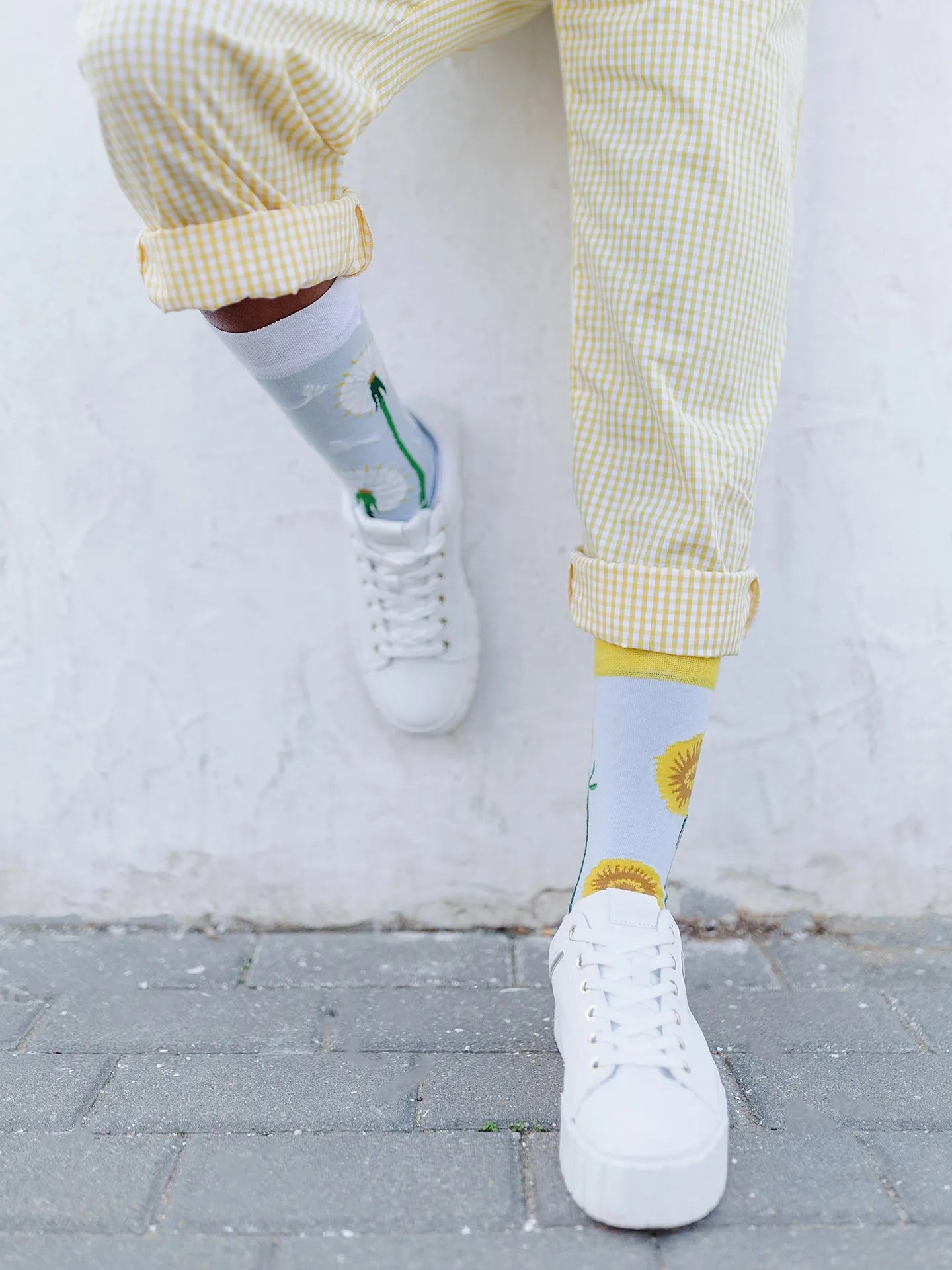 regular-socks-dandelion-spring-54/548b9a03e74fb7ee7c1232008c788f669485ddc4