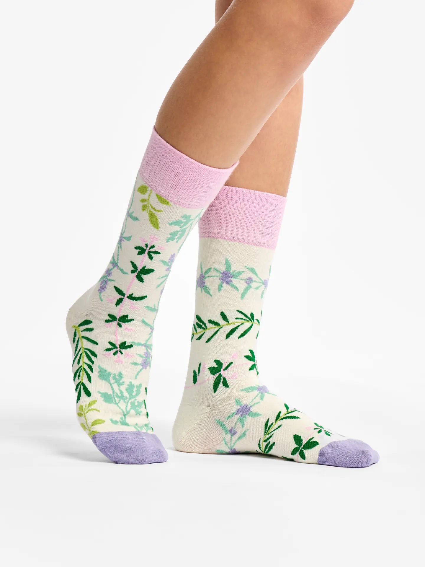 regular-socks-garden-herbs-58/58b09d2cecb921f228f1133b8c80f01a9b0623bd