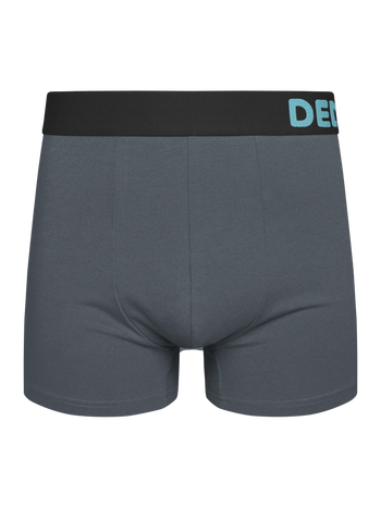 Boxer gris homme