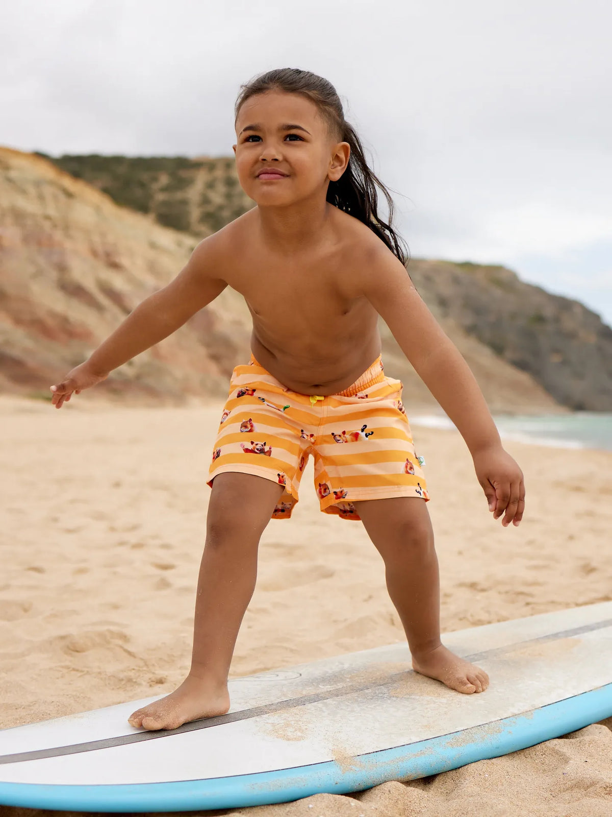 boys-swim-shorts-hamster-stripes-63/63de4b24f8f3d1f77414eaae863b4d290476524c