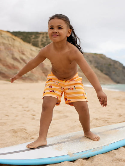boys-swim-shorts-hamster-stripes-63/63de4b24f8f3d1f77414eaae863b4d290476524c