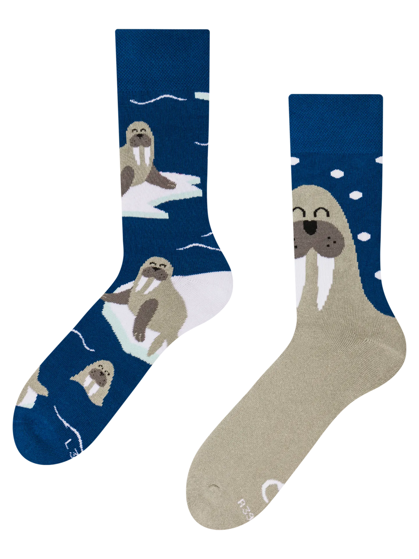 warm-socks-walrus-66/662cfb8ed4732d18dbab570247d690a7c35c2add