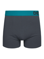 anthracite-grey-mens-trunks-1-69/697387afea245a78224dc05788a1400c659e4e86