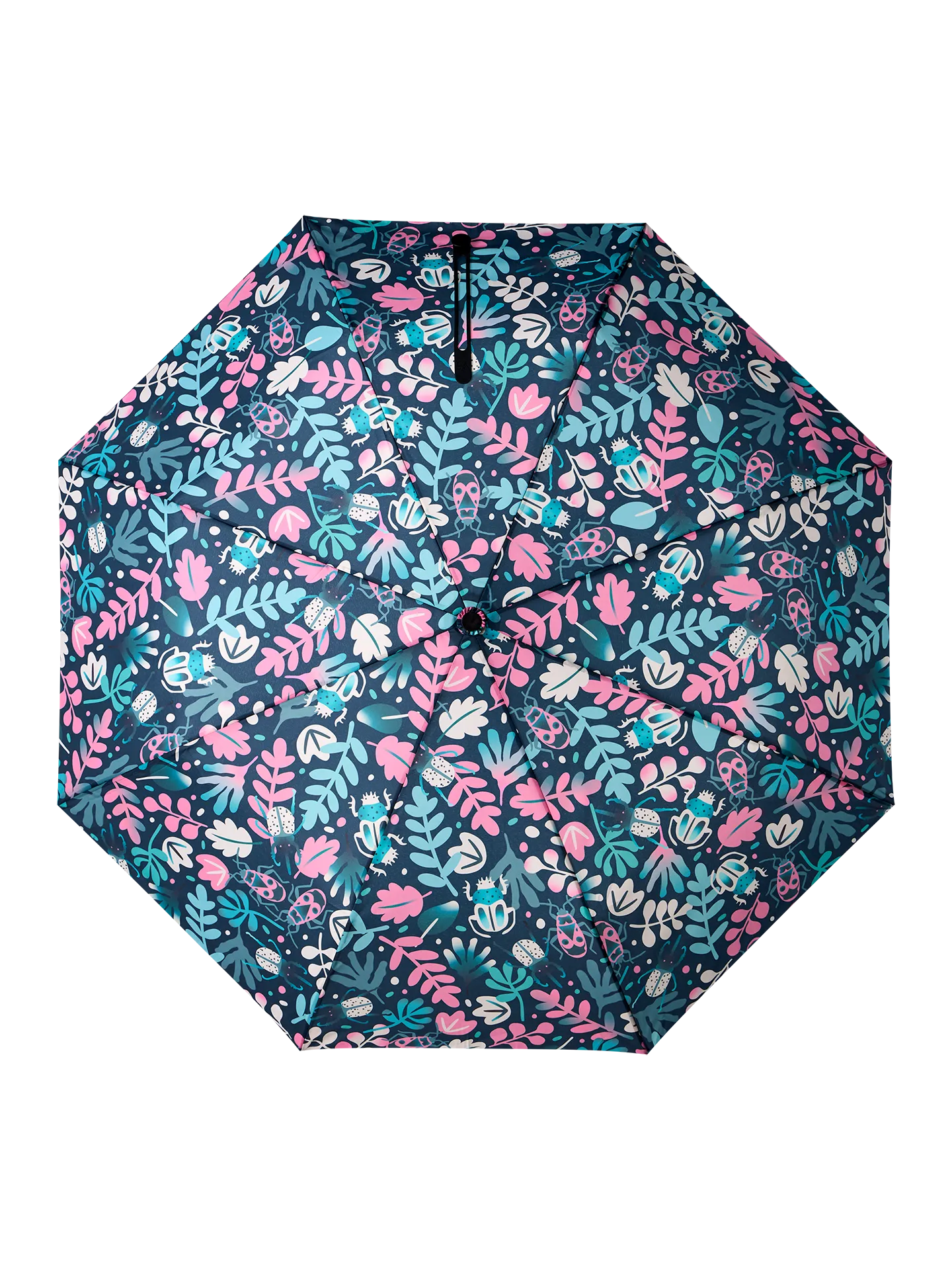 umbrella-leaves-bugs-80/80e8fb5012226a91d1c34e6ab4babf4514421fd5