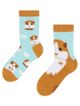 kids-socks-guinea-pig-okt-85/852d2171de7a52939ee0aa6c945d201ebf4179ad