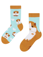 kids-socks-guinea-pig-okt-85/852d2171de7a52939ee0aa6c945d201ebf4179ad