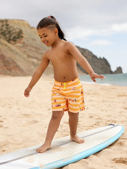 boys-swim-shorts-hamster-stripes-8b/8b84be45cea8fc03f40ba1de5e029eab6fca76cf