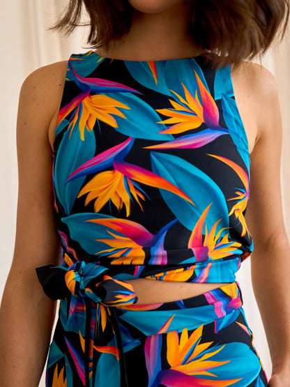 magicmix-top-bird-of-paradise-8f/8f75c4694fabe2310c600787690cf52d79818d42