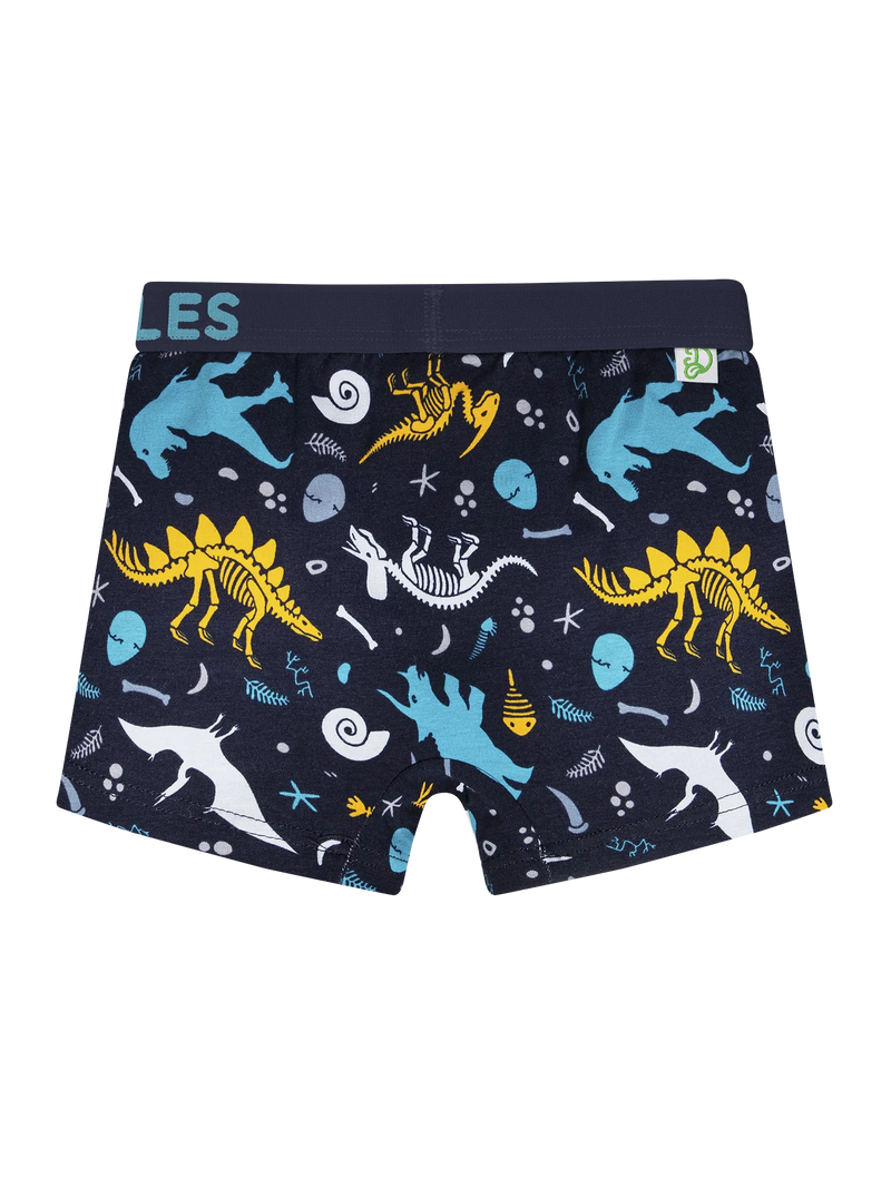 boys-boxers-dinosaurs-95/95d7369534e43ee59f2ddc3b47b85bc6916cc3c1