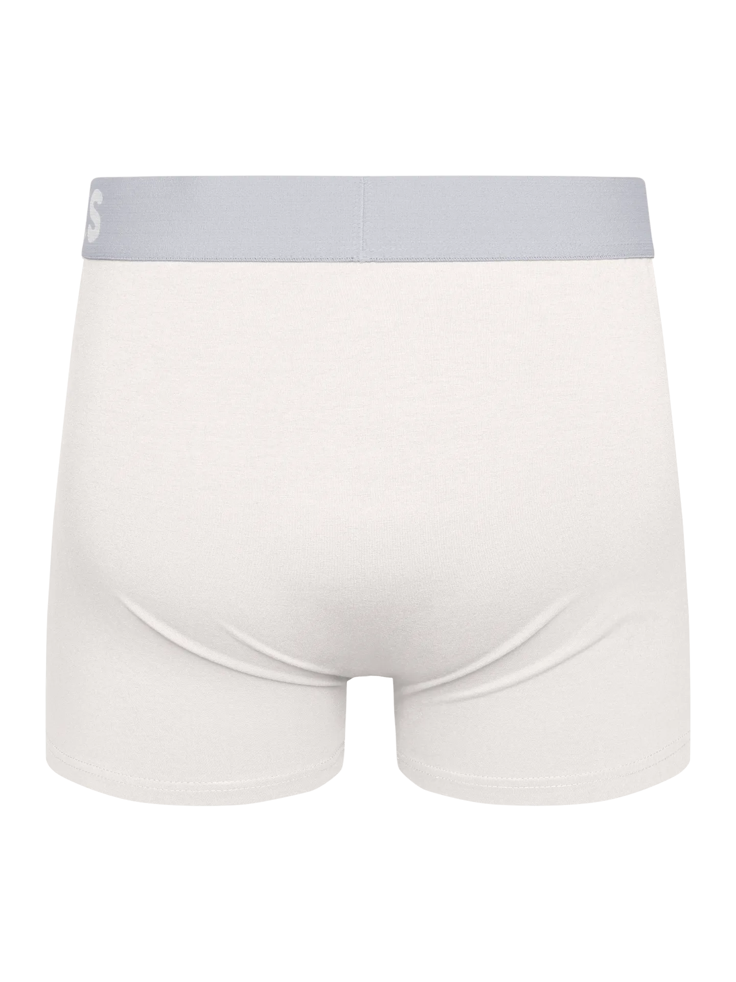true-white-mens-trunks-96/96aa86111560456657db90fd8ad059845ef35be7