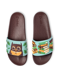 slides-owl-books-a8/a81ebe85b7f1061eb25837923a565751d600bd79
