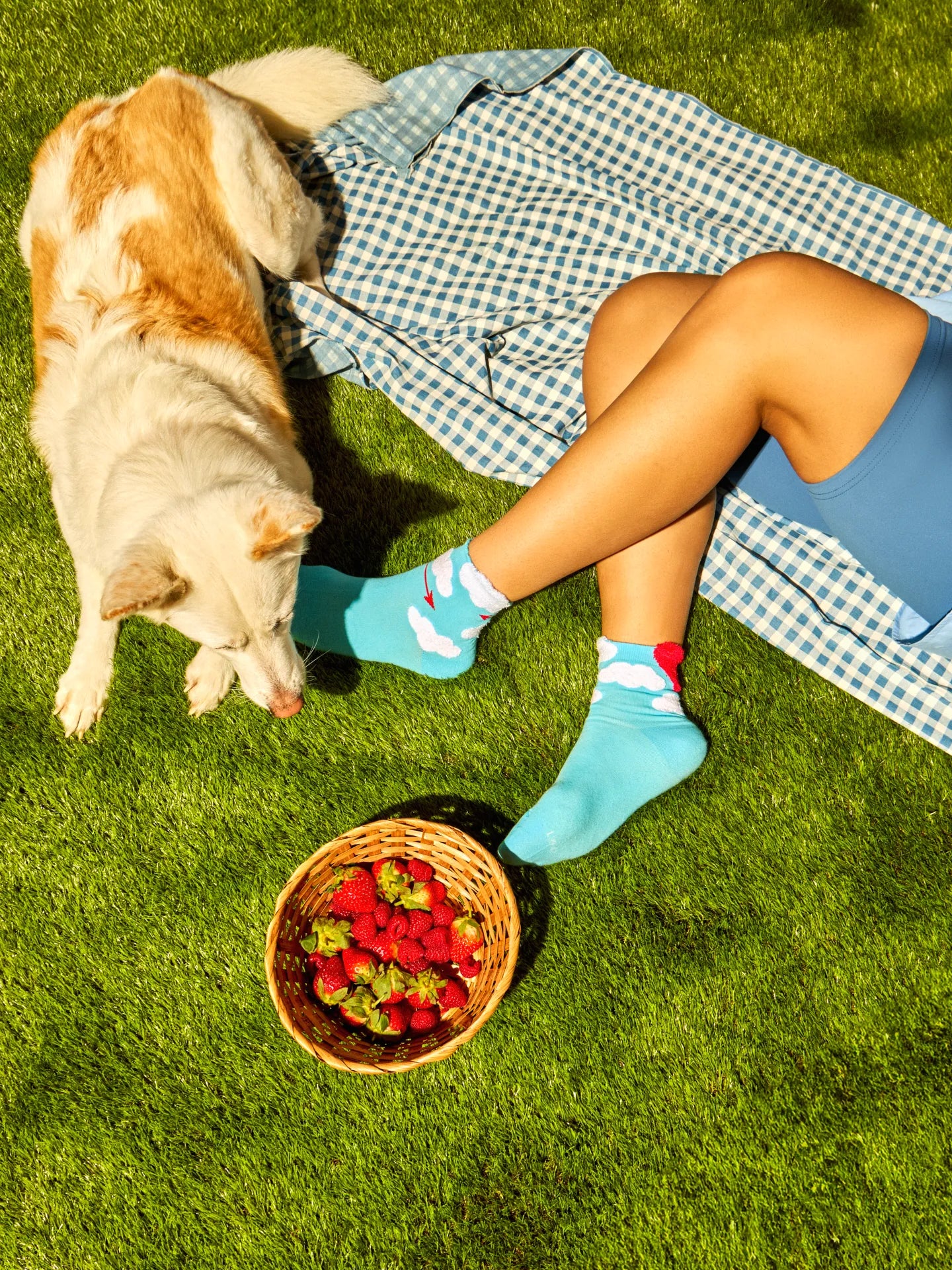 cutecore-socks-love-in-the-air-b0/b0766d88e124bbeec5111e95aca7c819e2e746b7