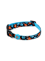 dog-collar-hearts-paws-b7/b751e61ca99665fe22b98993ce37bf1aae8d3d1a