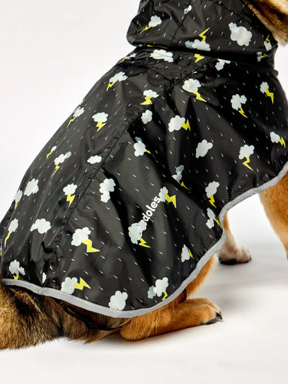 dog-raincoat-storm-be/bed168e4ea8b491bf5e56a1d569f7d74ef0a7636