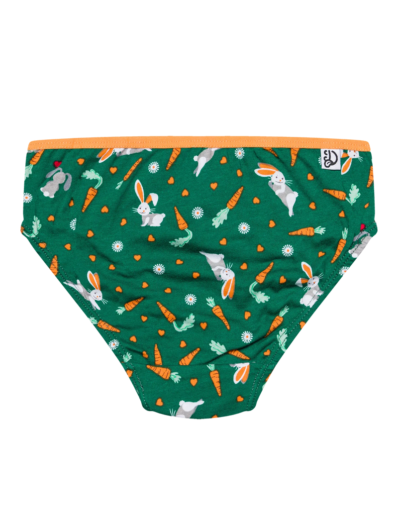 girls-briefs-rabbit-and-carrot-c3/c3fd0e3d0ab90c50a8e5b9510049d63f2c346e55