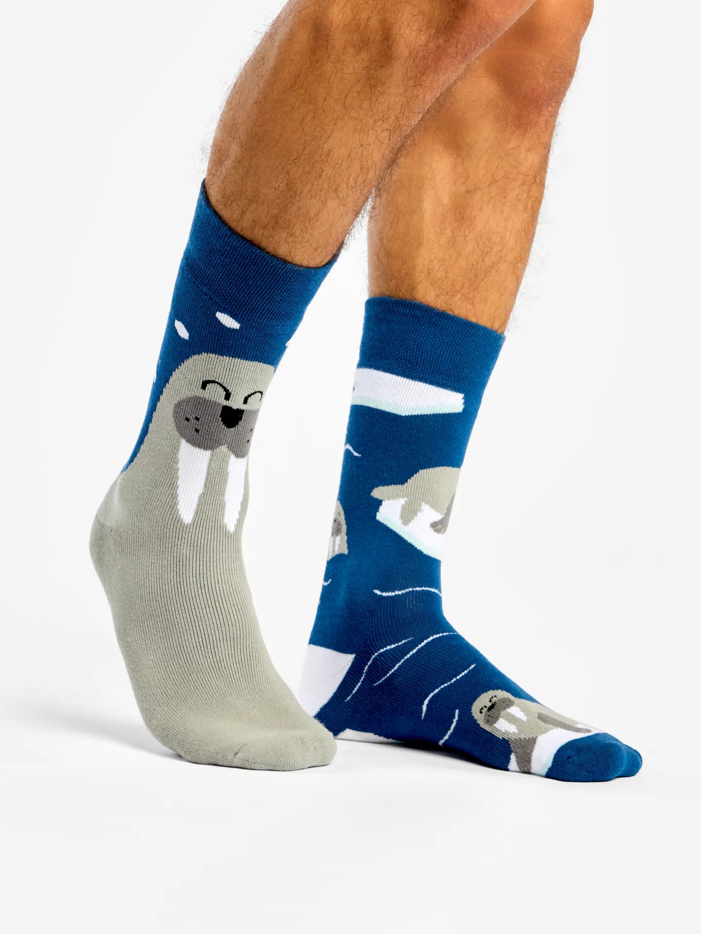 warm-socks-walrus-c6/c67f60a4477bb06a12d537d208dc1b24b51172a7