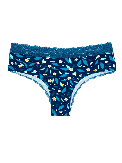 women-s-lace-hipster-briefs-morning-garden-cb/cbcf1513854ff00f006b116c724e2319de7ab4a6