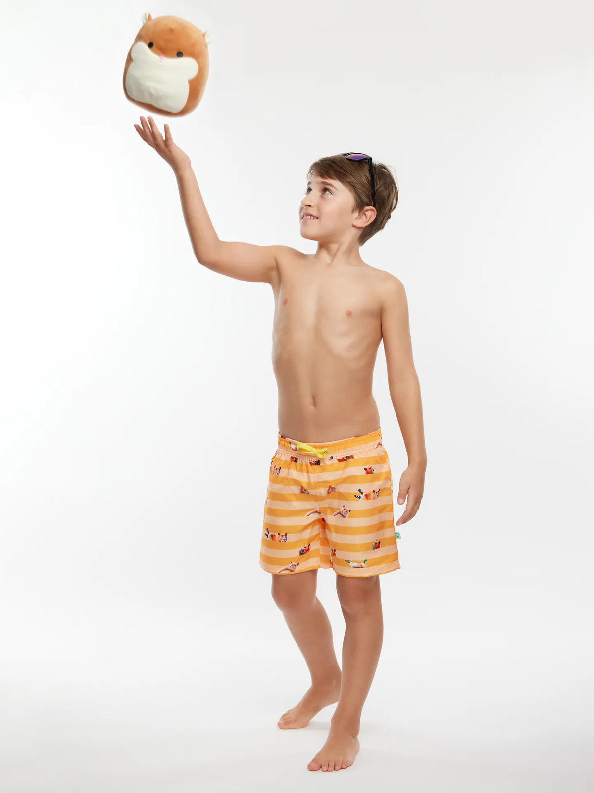 boys-swim-shorts-hamster-stripes-ce/ce850fa8f36bff5eab4191fccb83273d942122bb