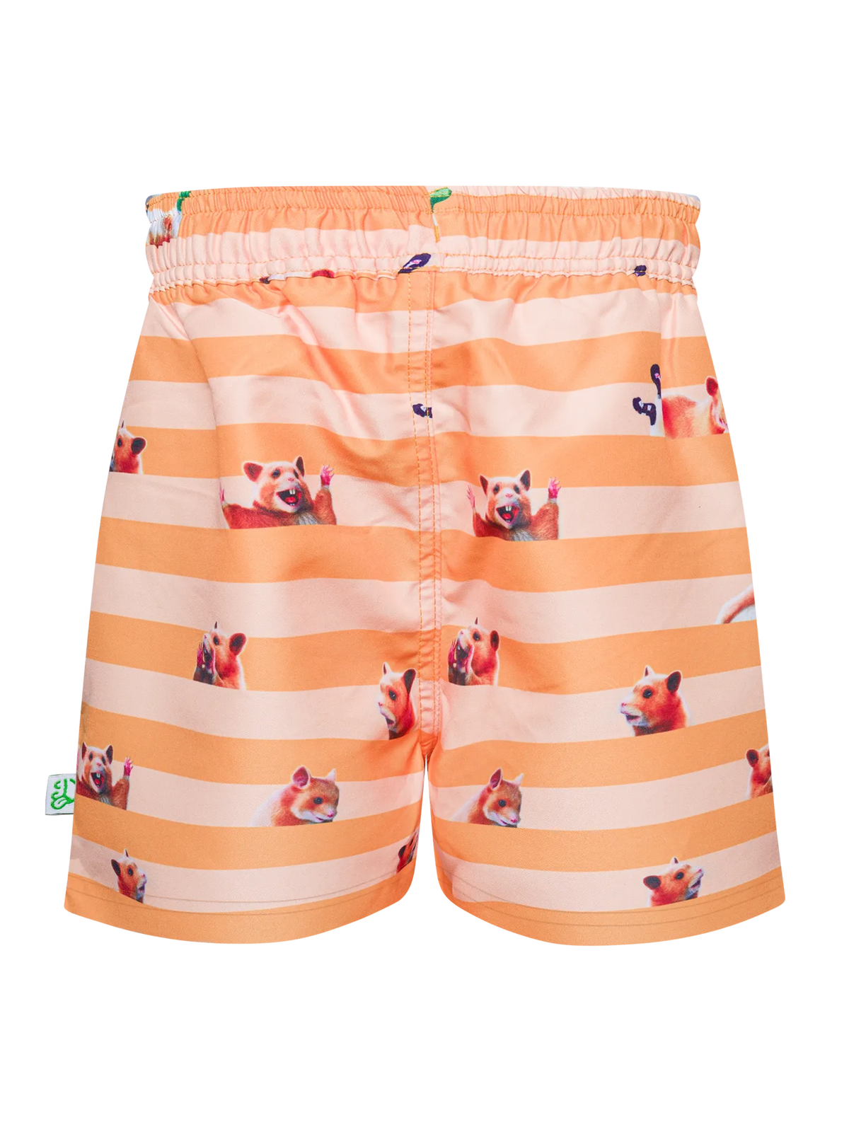 boys-swim-shorts-hamster-stripes-e1/e167cb8537b92fa387061f8632ba01302ab12dcf