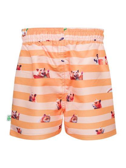 boys-swim-shorts-hamster-stripes-e1/e167cb8537b92fa387061f8632ba01302ab12dcf