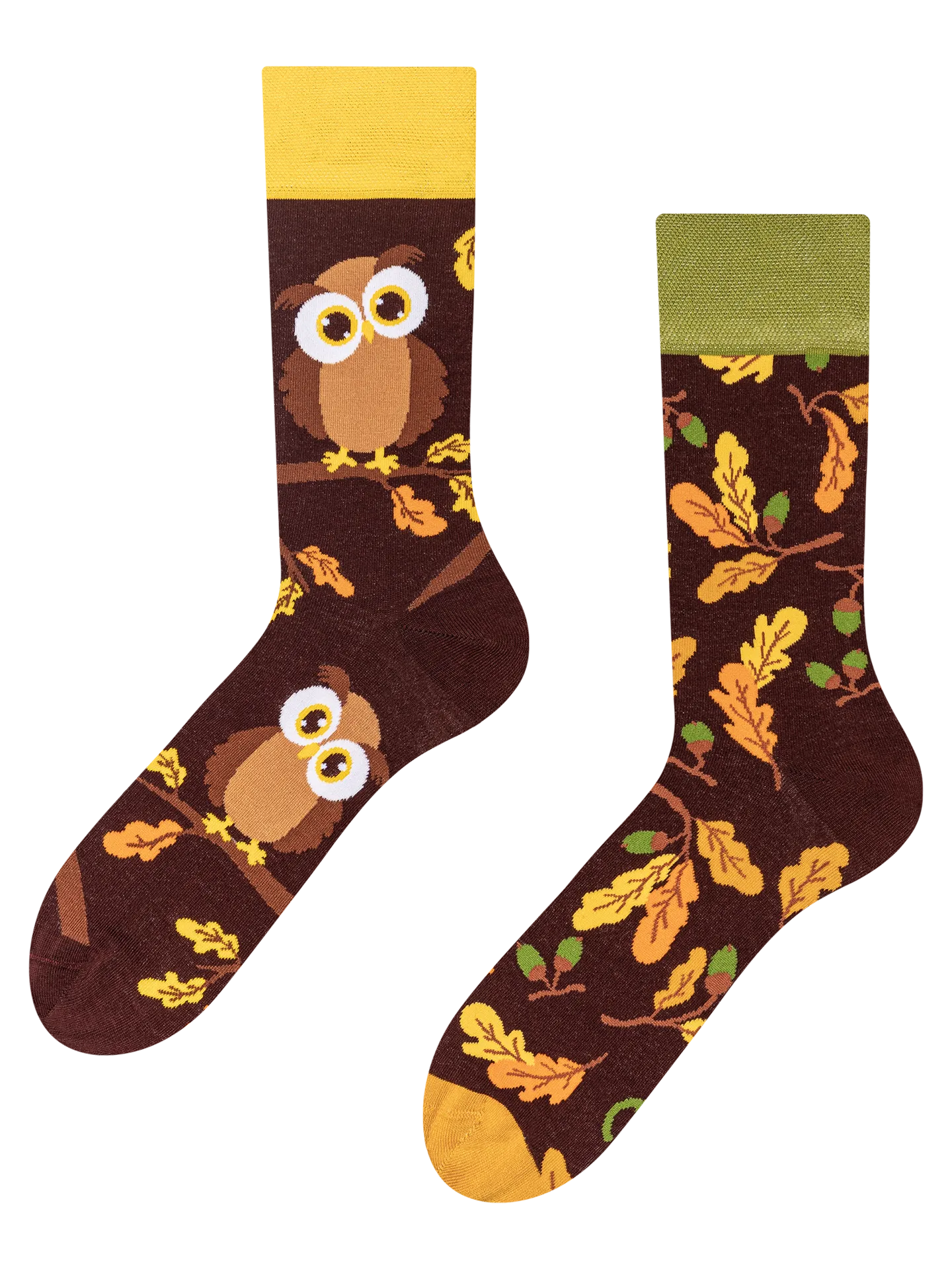 regular-socks-curious-owl-02-e1/e19b4ebf0026b8e0561871f7a516343d422c01ce
