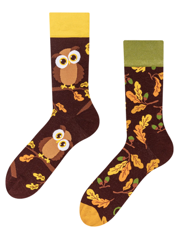 Chaussettes rigolotes Hibou curieux