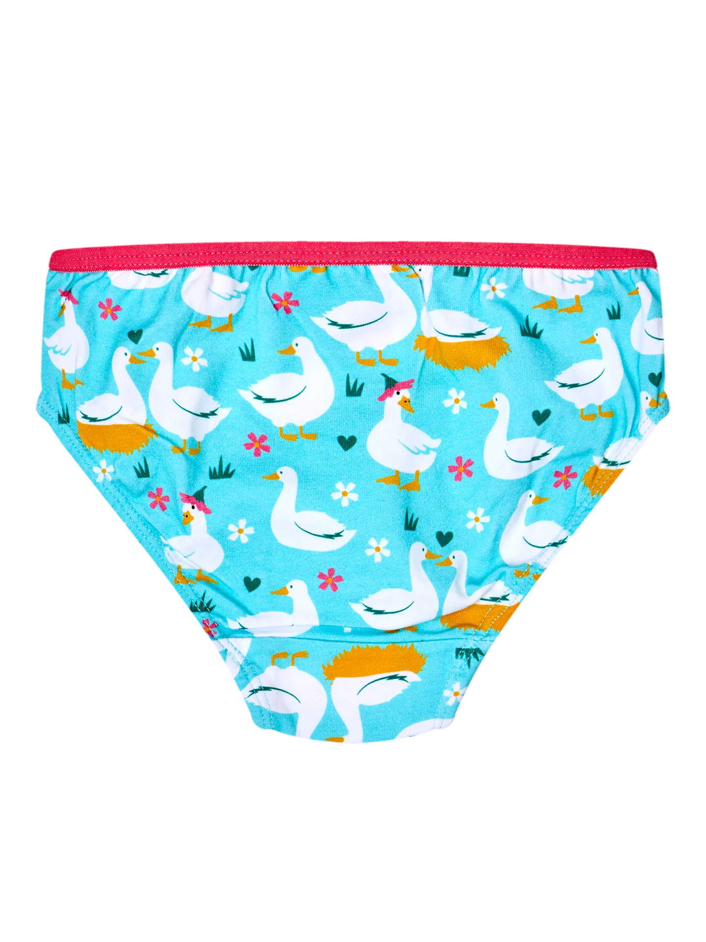 girls-briefs-goose-flowers-e5/e5cb5fe5a5407f2c05cce23453afe0d0da679114