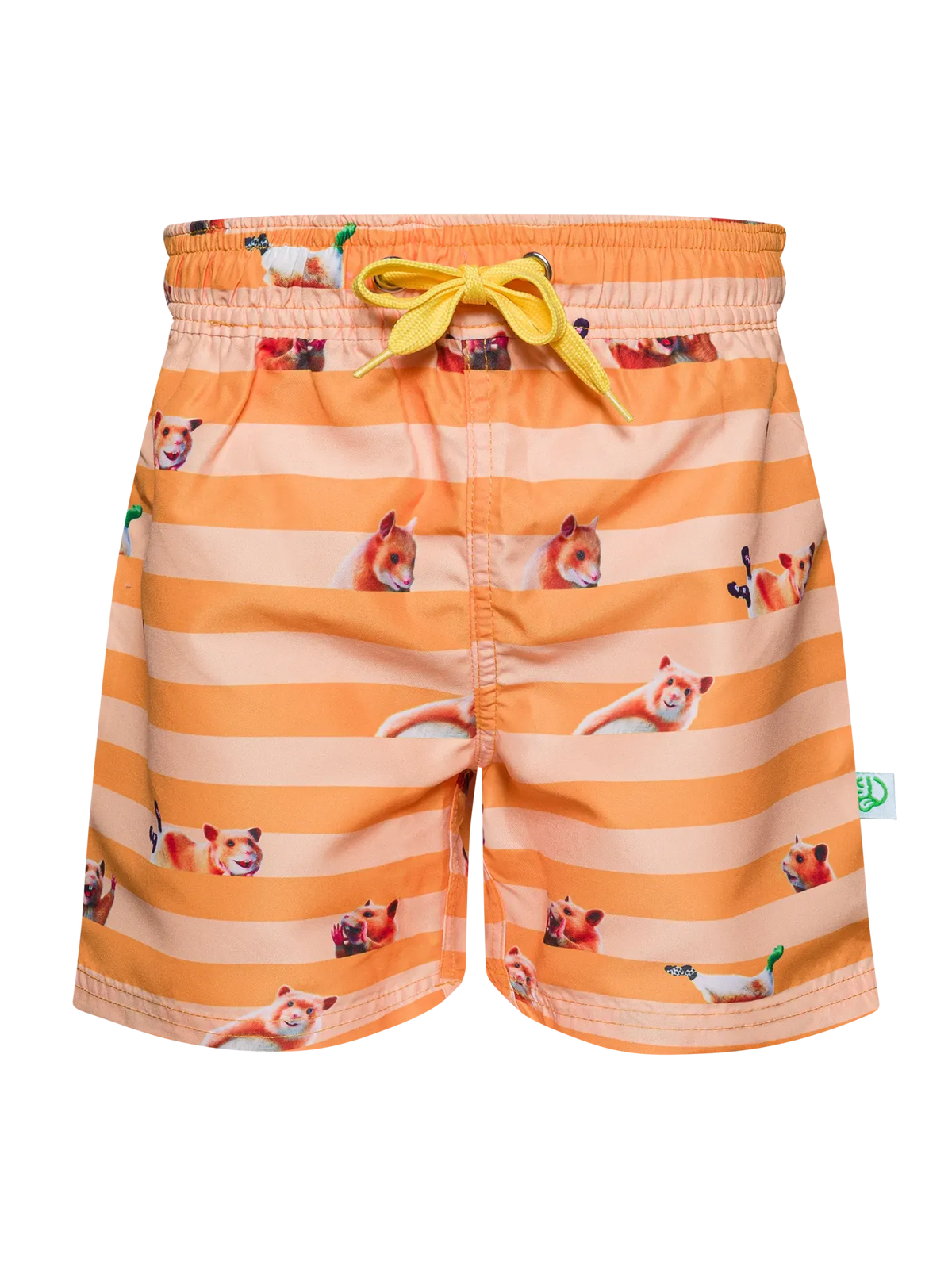 boys-swim-shorts-hamster-stripes-f8/f8c570172cd02ade71393380d062852d65da2f73