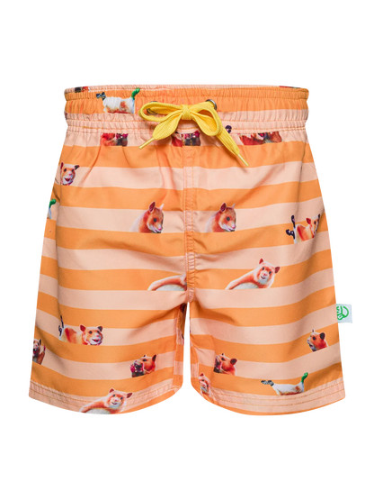 boys-swim-shorts-hamster-stripes-f8/f8c570172cd02ade71393380d062852d65da2f73