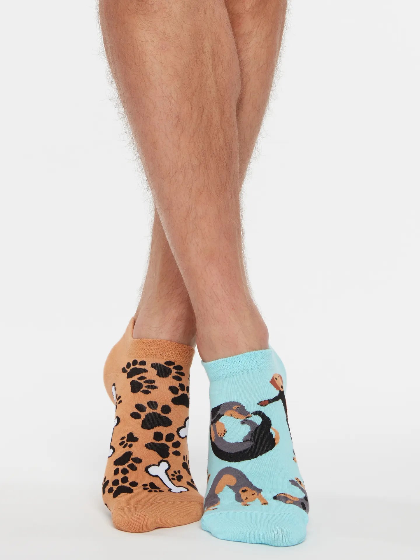 ankle-socks-dachshund-02-fa/fab76118e5890a6ef25aa3a8a89839df08b6e014