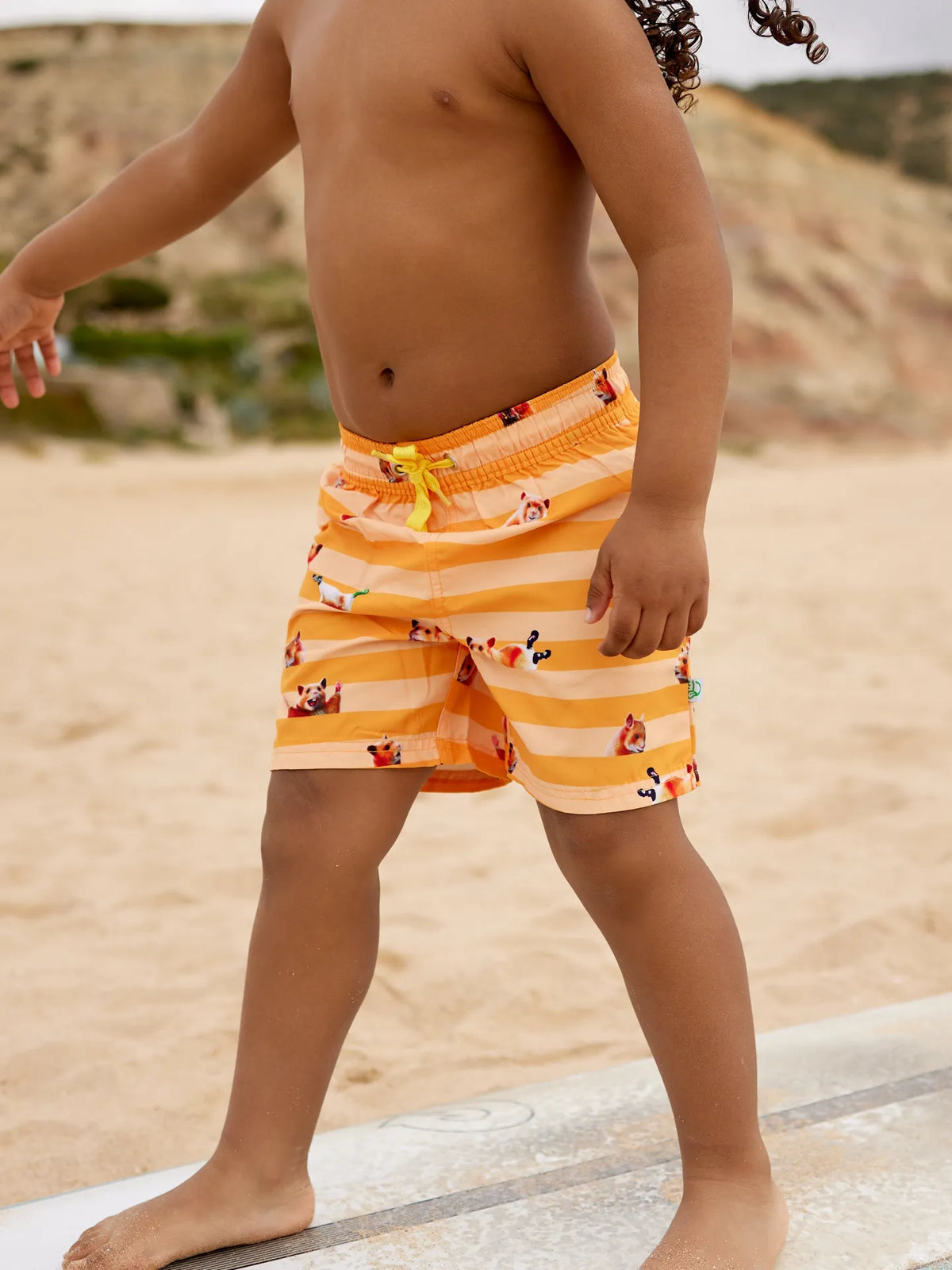 boys-swim-shorts-hamster-stripes-fc/fcb4dc952f329b64762a5962610f81276a0c3e57